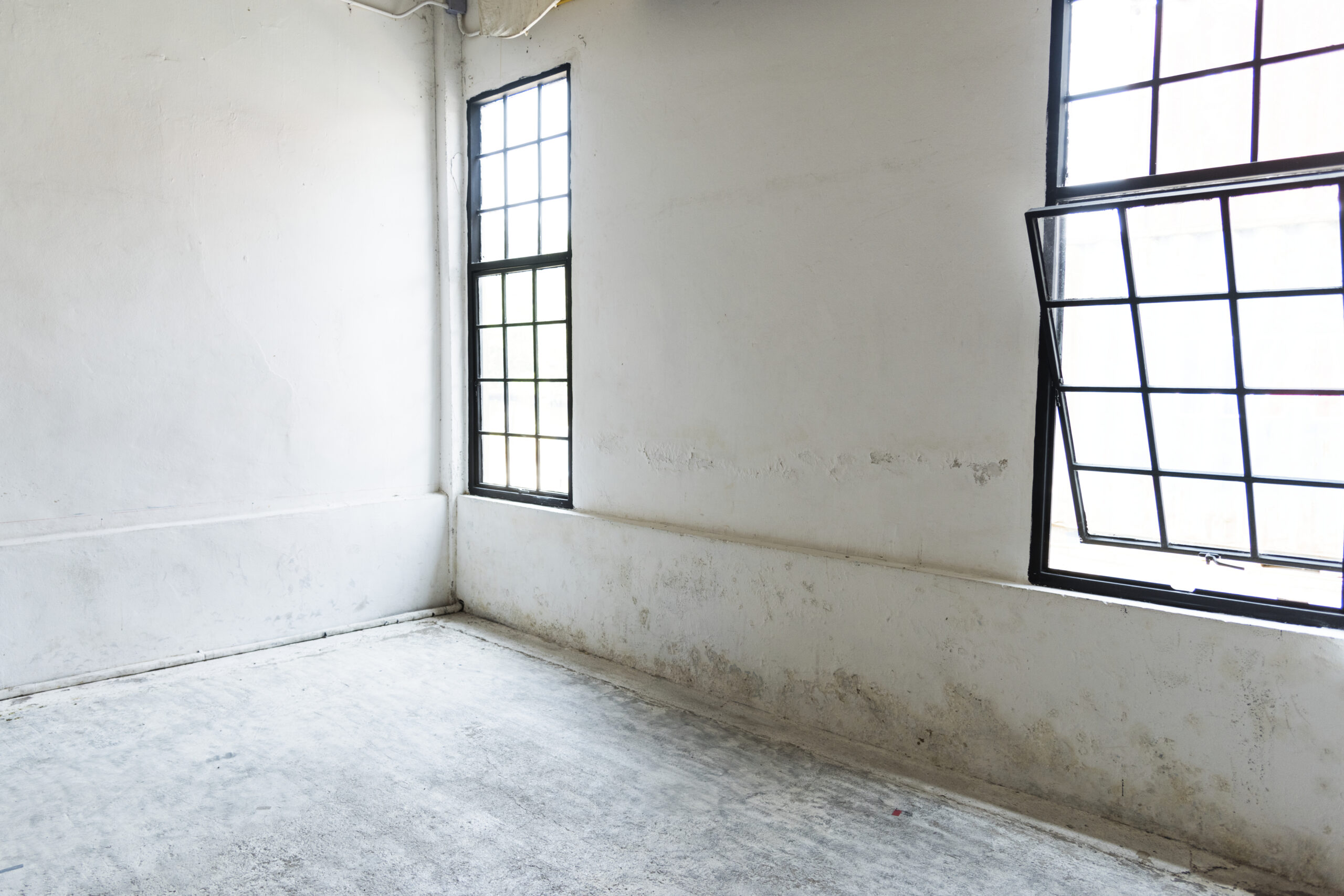 clean-windows-empty-white-house-blank